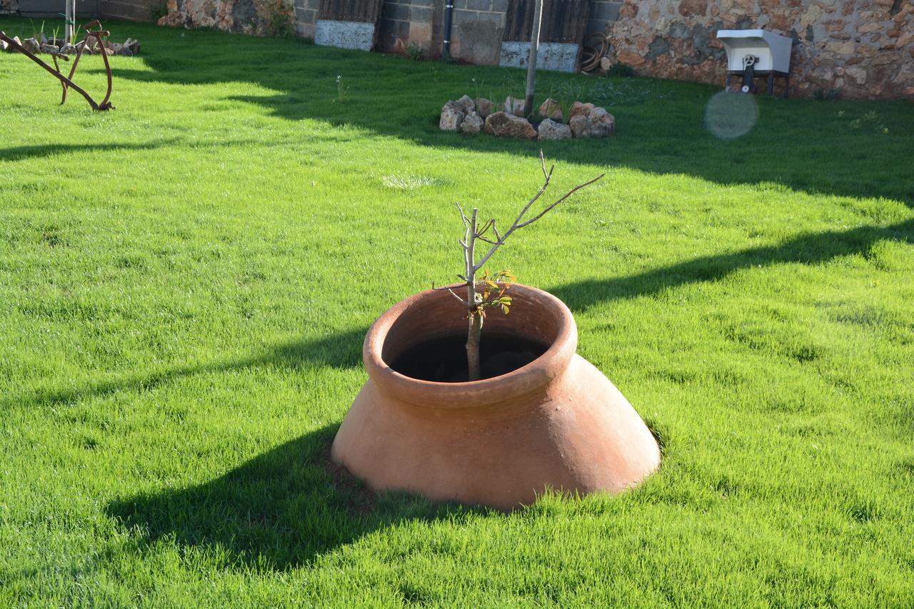 Casa Rural Aromas De La Manchuela Alborea Esterno foto